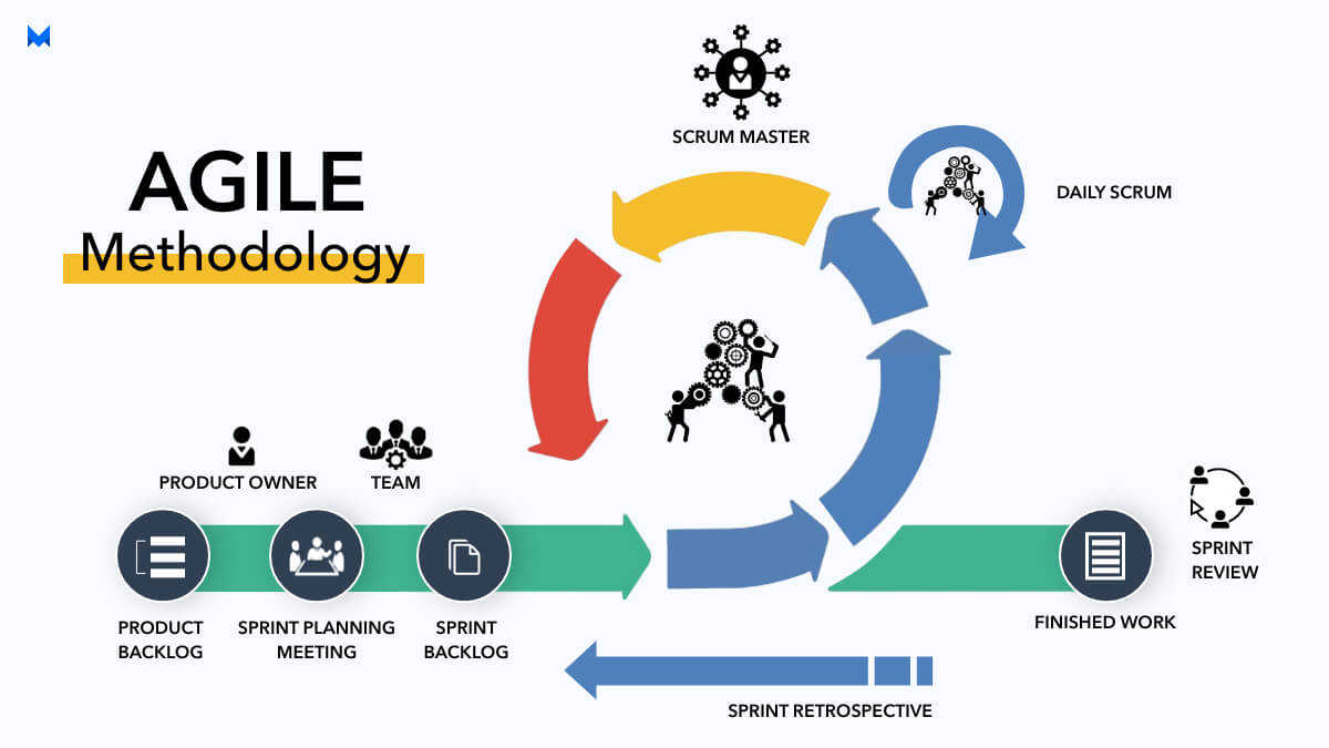 Agile Testing Methodology and its Principles